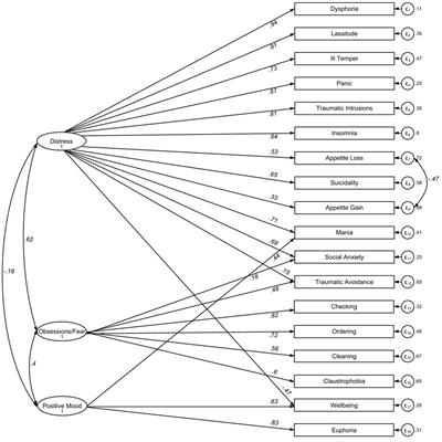 Romanian Inventory of Depression and Anxiety Symptoms (IDAS-II)